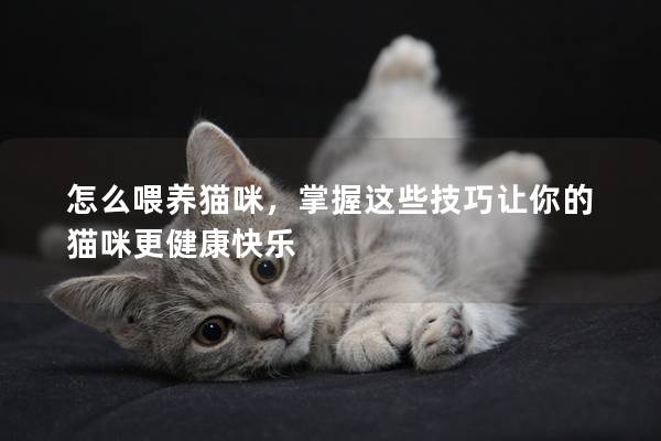 怎么喂養貓咪，掌握這些技巧讓你的貓咪更健康快樂