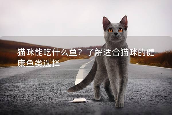 貓咪能吃什么魚？了解適合貓咪的健康魚類選擇