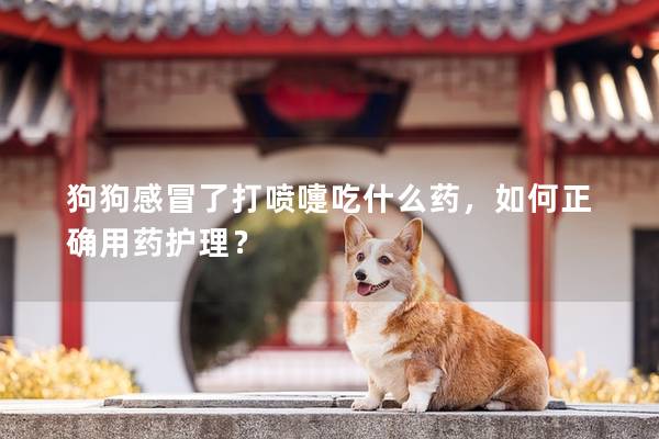 狗狗感冒了打噴嚏吃什么藥,如何正確用藥護(hù)理? 狗狗感冒了打噴嚏吃什么藥,如何正確用藥護(hù)理?