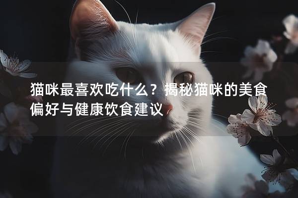 貓咪最喜歡吃什么？揭秘貓咪的美食偏好與健康飲食建議