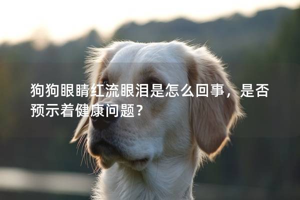 狗狗眼睛紅流眼淚是怎么回事，是否預示著健康問題？