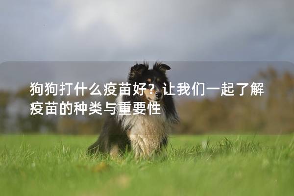 狗狗打什么疫苗好？讓我們一起了解疫苗的種類與重要性
