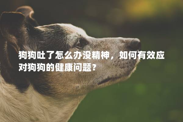 狗狗吐了怎么辦沒精神，如何有效應對狗狗的健康問題？