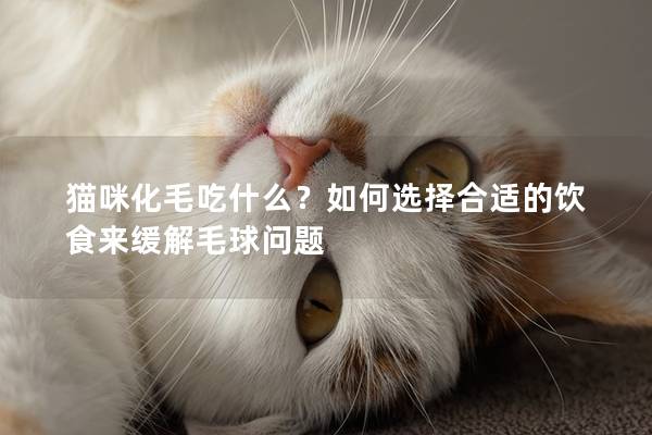 貓咪化毛吃什么？如何選擇合適的飲食來緩解毛球問題