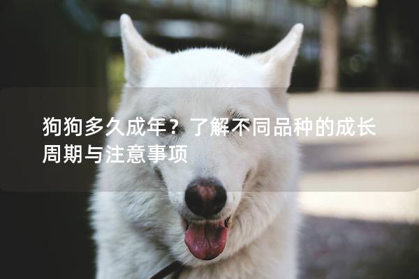狗狗多久成年？了解不同品種的成長周期與注意事項