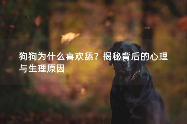 狗狗為什么喜歡舔？揭秘背后的心理與生理原因