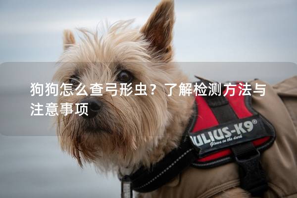 狗狗怎么查弓形蟲？了解檢測方法與注意事項