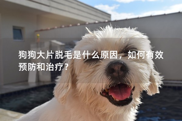 狗狗大片脫毛是什么原因,如何有效預(yù)防和治療? 狗狗大片脫毛是什么原因,如何有效預(yù)防和治療?