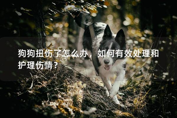 狗狗扭傷了怎么辦，如何有效處理和護理傷情？