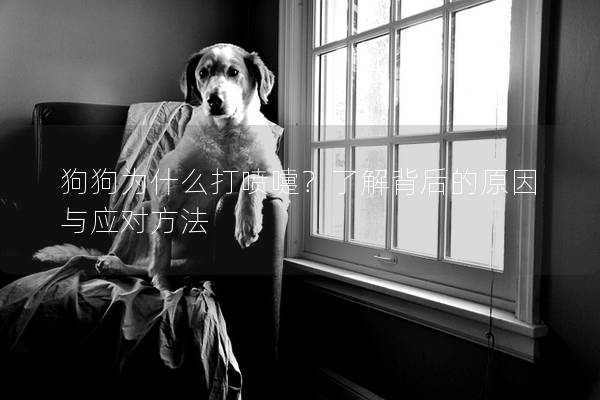 狗狗為什么打噴嚏？了解背后的原因與應(yīng)對(duì)方法