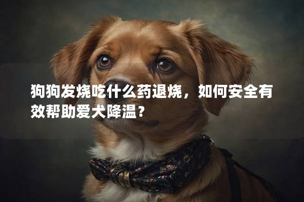 狗狗發燒吃什么藥退燒，如何安全有效幫助愛犬降溫？
