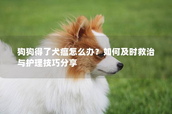 狗狗得了犬瘟怎么辦？如何及時救治與護理技巧分享