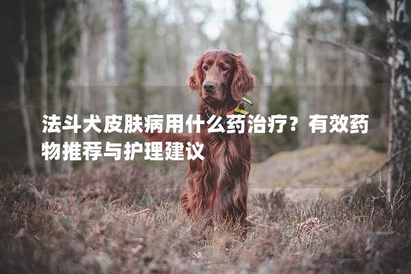 法斗犬皮膚病用什么藥治療？有效藥物推薦與護理建議