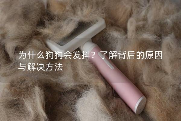 為什么狗狗會(huì)發(fā)抖？了解背后的原因與解決方法