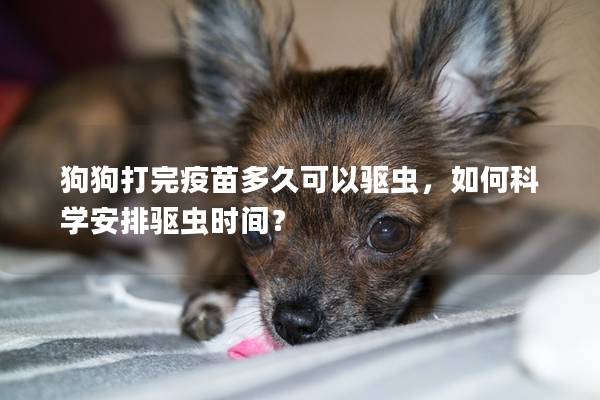 狗狗打完疫苗多久可以驅(qū)蟲，如何科學(xué)安排驅(qū)蟲時(shí)間？