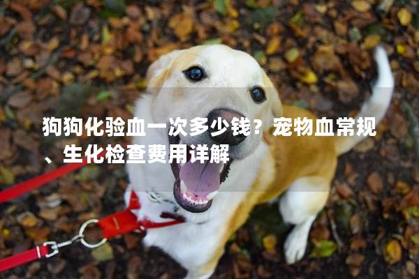 狗狗化驗血一次多少錢？寵物血常規、生化檢查費用詳解