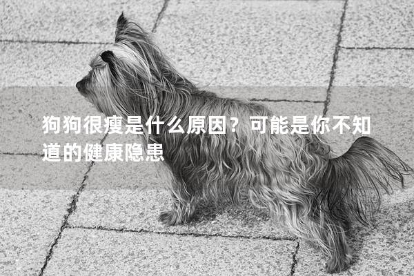狗狗很瘦是什么原因？可能是你不知道的健康隱患