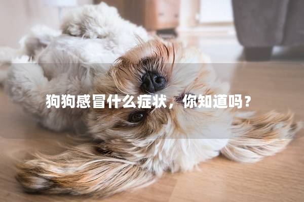 狗狗感冒什么癥狀,你知道嗎? 狗狗感冒什么癥狀,你知道嗎?