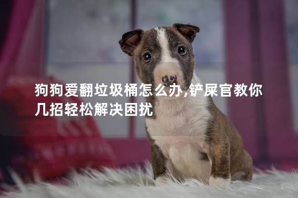 狗狗愛翻垃圾桶怎么辦,鏟屎官教你幾招輕松解決困擾