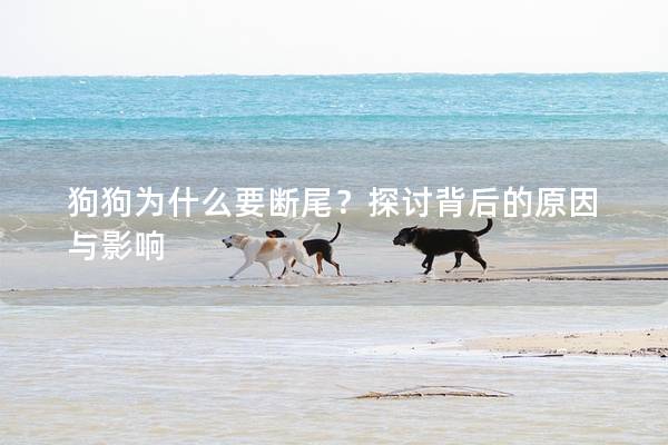 狗狗為什么要斷尾？探討背后的原因與影響