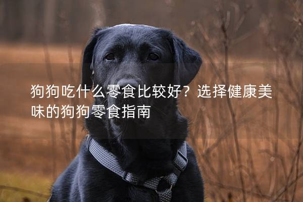 狗狗吃什么零食比較好？選擇健康美味的狗狗零食指南