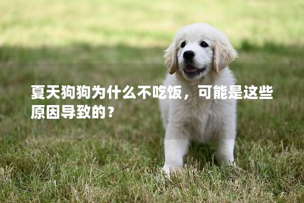 夏天狗狗為什么不吃飯，可能是這些原因?qū)е碌模?></em><p>夏天狗狗為什么不吃飯，可能是這些原因?qū)е碌模?/p><span>2025-01-26</span></a></li><li><a title=