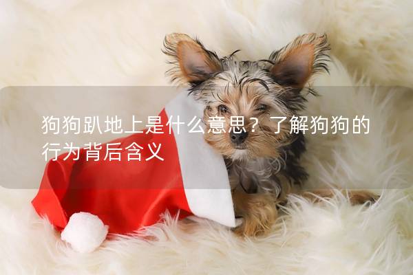 狗狗趴地上是什么意思？了解狗狗的行為背后含義