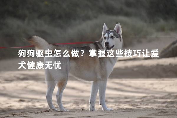 狗狗驅蟲怎么做？掌握這些技巧讓愛犬健康無憂