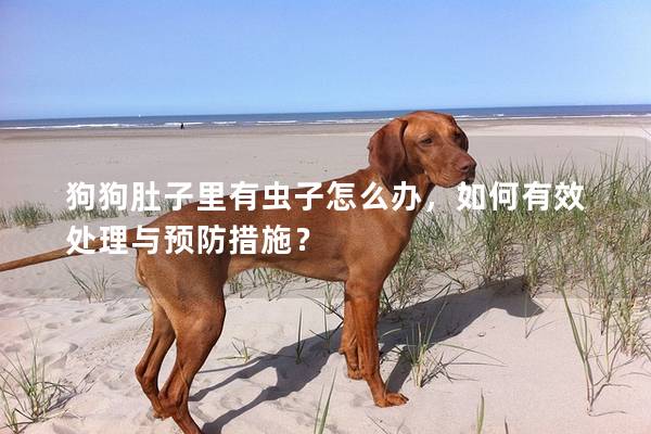 狗狗肚子里有蟲子怎么辦,如何有效處理與預防措施? 狗狗肚子里有蟲子怎么辦,如何有效處理與預防措施?