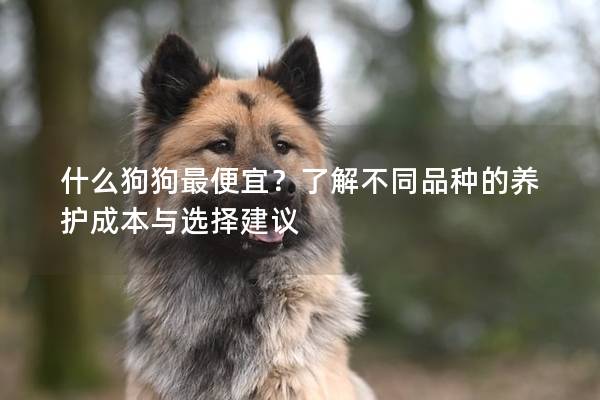 什么狗狗最便宜？了解不同品種的養護成本與選擇建議