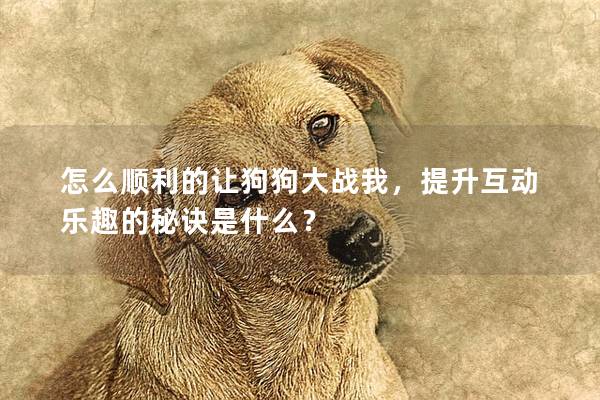 怎么順利的讓狗狗大戰(zhàn)我，提升互動(dòng)樂(lè)趣的秘訣是什么？