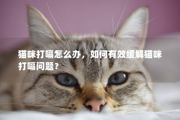 貓咪打嗝怎么辦，如何有效緩解貓咪打嗝問題？