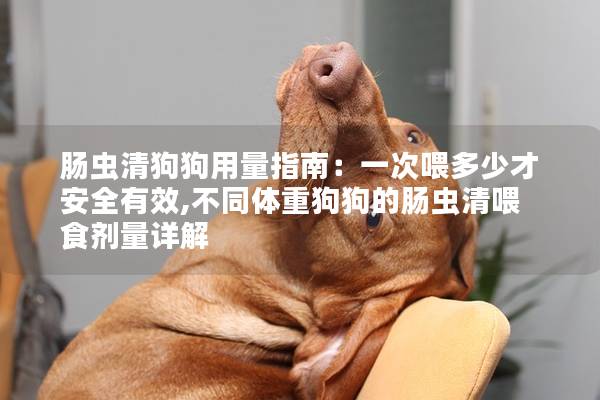 腸蟲清狗狗用量指南：一次喂多少才安全有效,不同體重狗狗的腸蟲清喂食劑量詳解