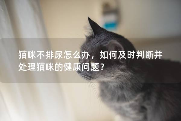 貓咪不排尿怎么辦，如何及時(shí)判斷并處理貓咪的健康問(wèn)題？