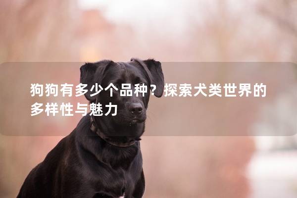 狗狗有多少個品種?探索犬類世界的多樣性與魅力 狗狗有多少個品種?探索犬類世界的多樣性與魅力