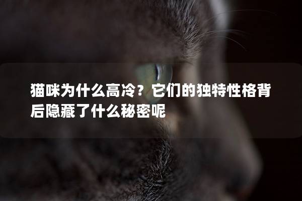 貓咪為什么高冷？它們的獨特性格背后隱藏了什么秘密呢