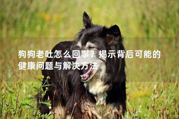 狗狗老吐怎么回事？揭示背后可能的健康問題與解決方法