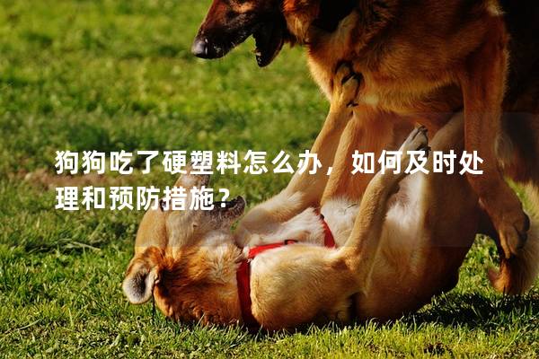 狗狗吃了硬塑料怎么辦，如何及時處理和預防措施？