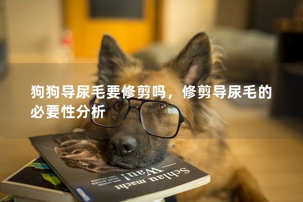 狗狗導尿毛要修剪嗎，修剪導尿毛的必要性分析