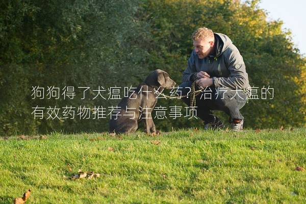 狗狗得了犬瘟吃什么藥？治療犬瘟的有效藥物推薦與注意事項