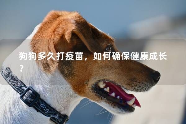 狗狗多久打疫苗,如何確保健康成長? 狗狗多久打疫苗,如何確保健康成長?