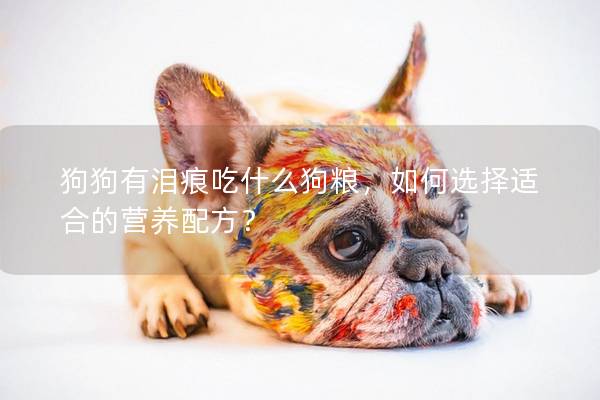 狗狗有淚痕吃什么狗糧，如何選擇適合的營養配方？