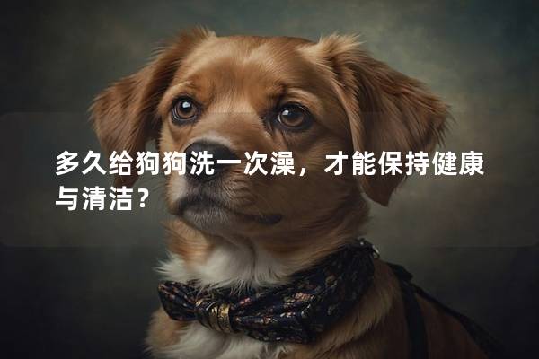 多久給狗狗洗一次澡，才能保持健康與清潔？