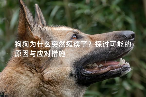 狗狗為什么突然癱瘓了？探討可能的原因與應(yīng)對(duì)措施