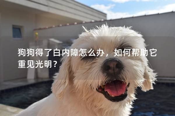 狗狗得了白內障怎么辦，如何幫助它重見光明？