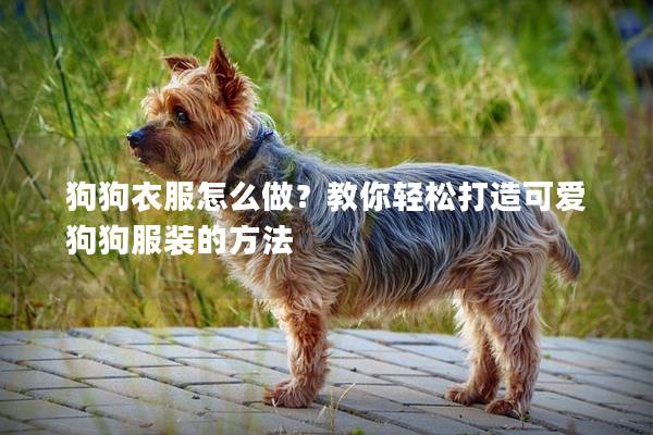 狗狗衣服怎么做？教你輕松打造可愛狗狗服裝的方法
