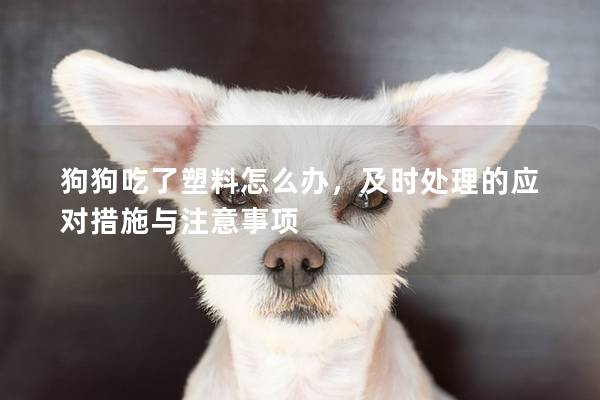 狗狗吃了塑料怎么辦，及時(shí)處理的應(yīng)對(duì)措施與注意事項(xiàng)