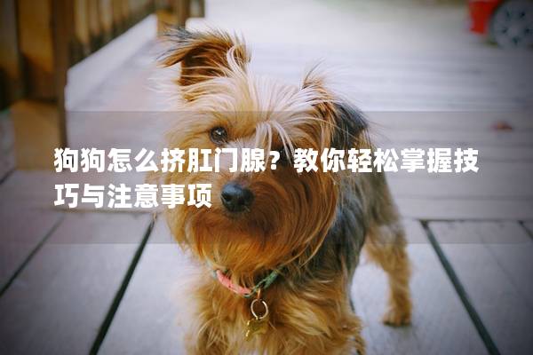 狗狗怎么擠肛門腺?教你輕松掌握技巧與注意事項 狗狗怎么擠肛門腺?教你輕松掌握技巧與注意事項