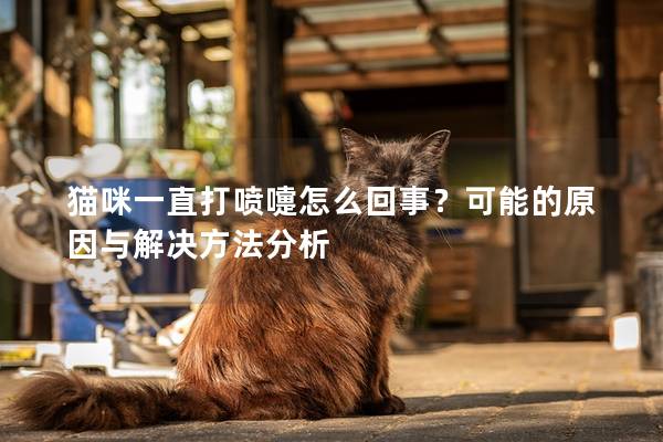 貓咪一直打噴嚏怎么回事?可能的原因與解決方法分析