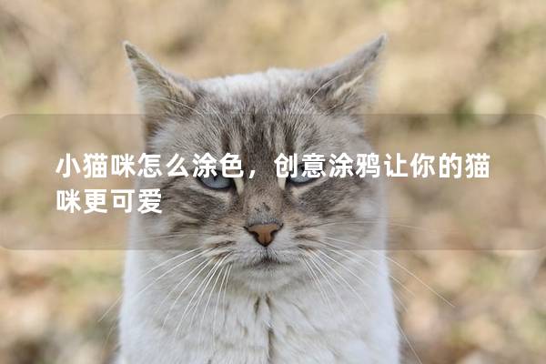 小貓咪怎么涂色,創意涂鴉讓你的貓咪更可愛 小貓咪怎么涂色,創意涂鴉讓你的貓咪更可愛